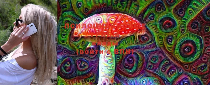 купить наркоту  MEGA ONION  Галлюциногенные грибы MAGIC MUSHROOMS  Лермонтов 